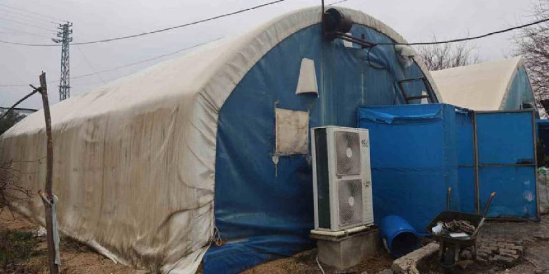 Ahırda başladığı üretim 3 çadırda sürüyor: 70 günde bir 3 defa hasat ediyor 5